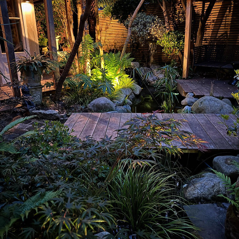 Фото: @bigleafbotanics