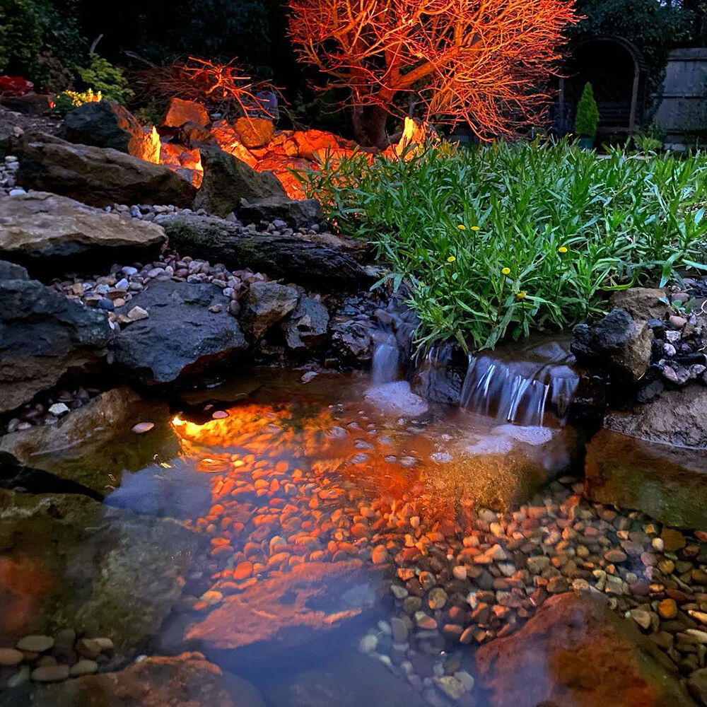 Фото: @brit_ponds