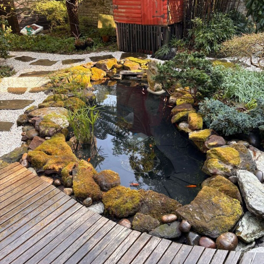 Фото: @dixonslandscapes