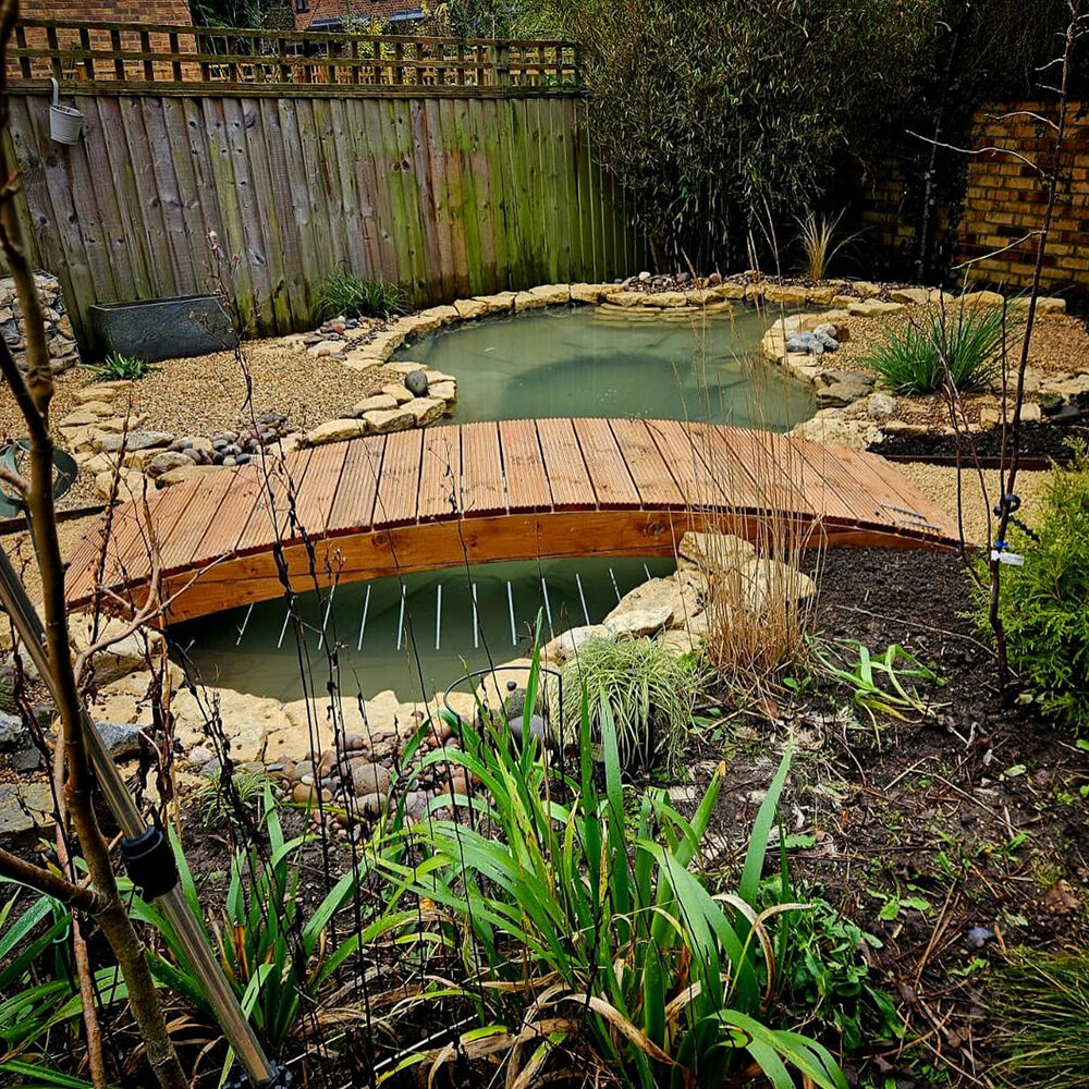 Фото: @gdlhorticulturalconsulting