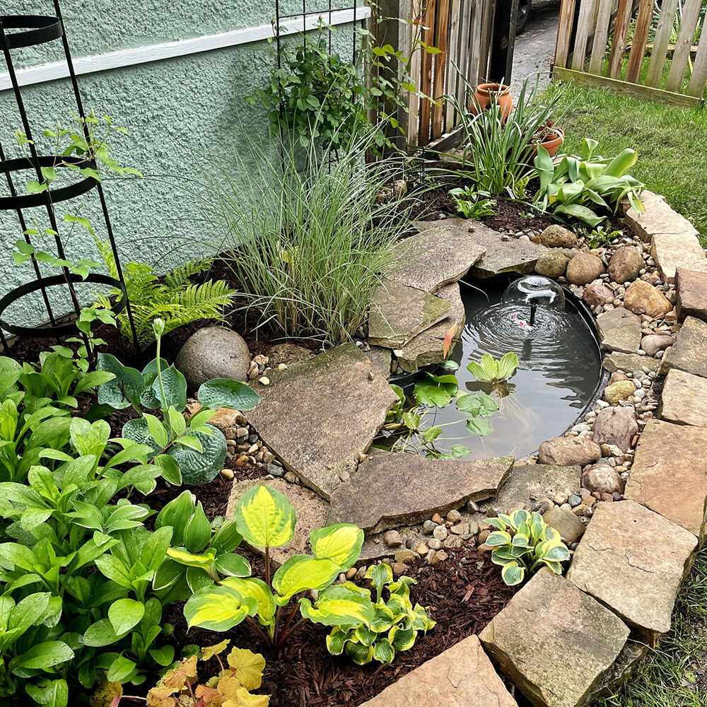 Фото: @themidwestgardeness