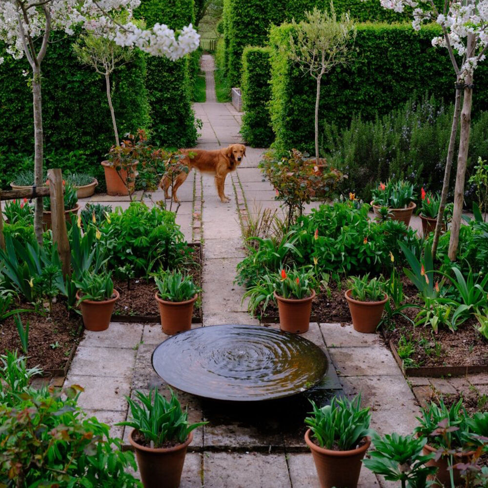 Фото: @themontydon