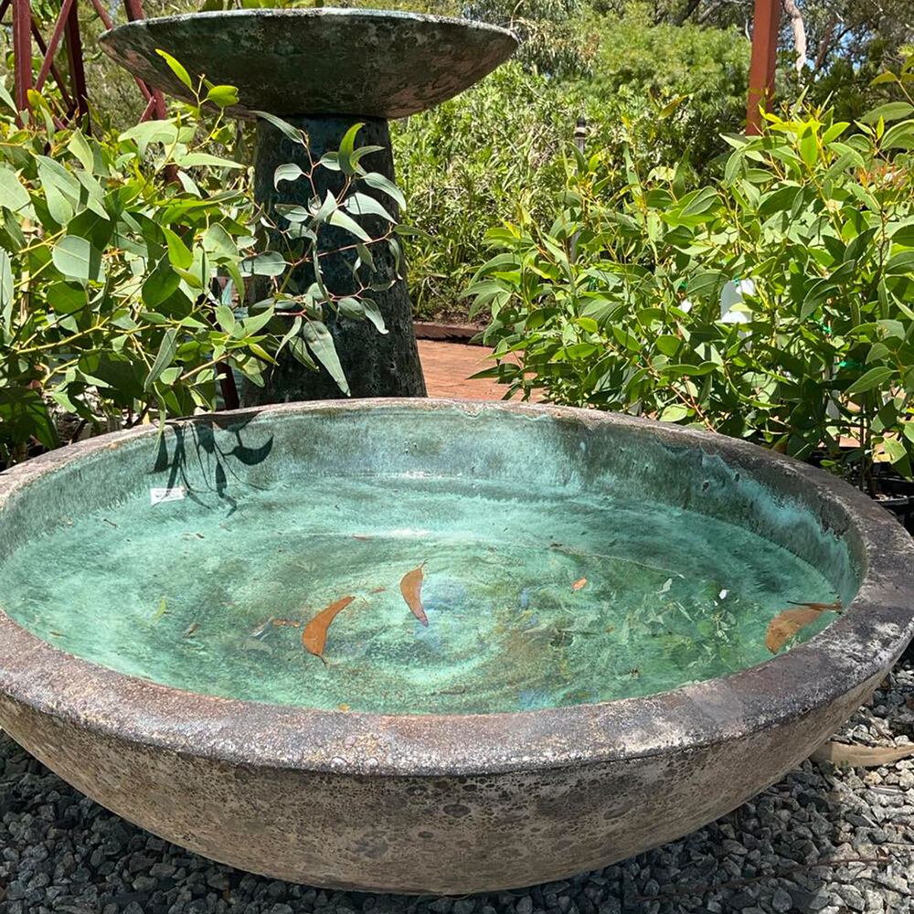 Фото: @zanthorrea_nursery