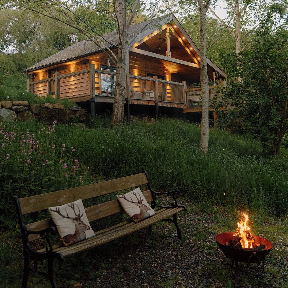 Фото: @canopyandstars