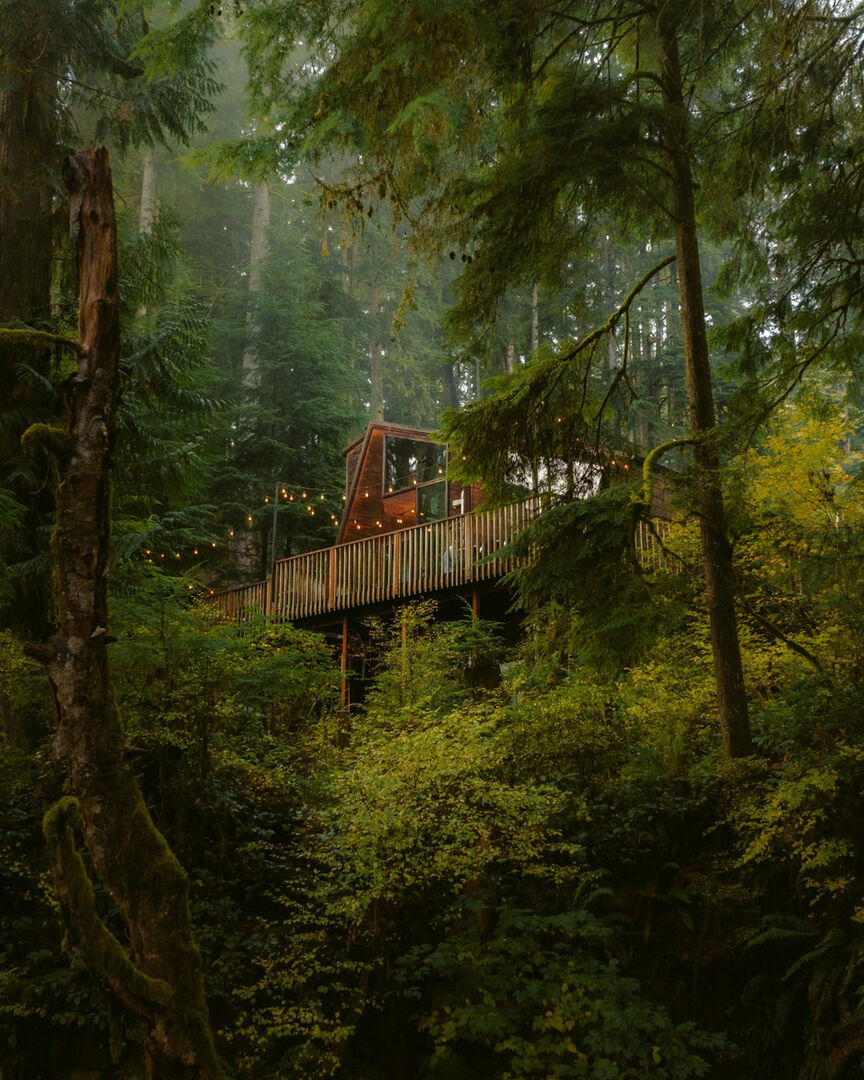 Фото: @canyoncreekcabins