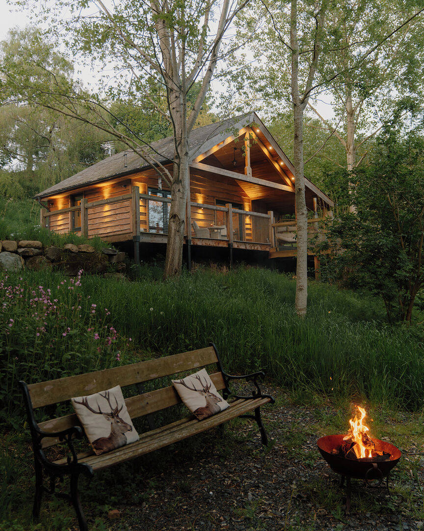 Фото: @canopyandstars