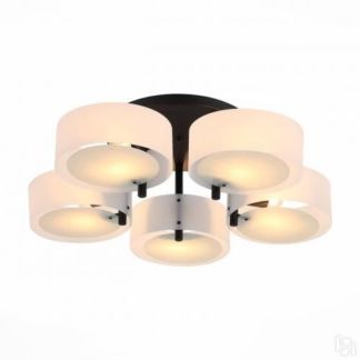 Потолочная Люстра St Luce Foresta Sl483.402.05 ST Luce