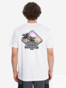 Футболка мужская Quiksilver Palm Square, Белый EQYZT08095Q02-WBB0 фото 3