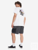 Футболка мужская Quiksilver Palm Square, Белый EQYZT08095Q02-WBB0 фото 5