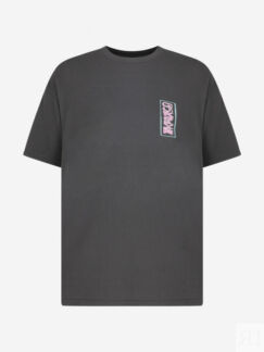Футболка мужская оверсайз Quiksilver Sunrise Bowl, Серый