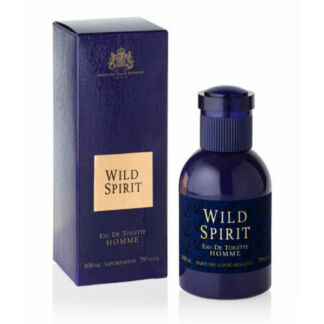 Parfums Eternel Туалетная вода мужская Wild Spirit, 100 мл