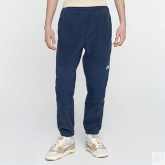 Мужские брюки The North Face Ripstop Denali Pant