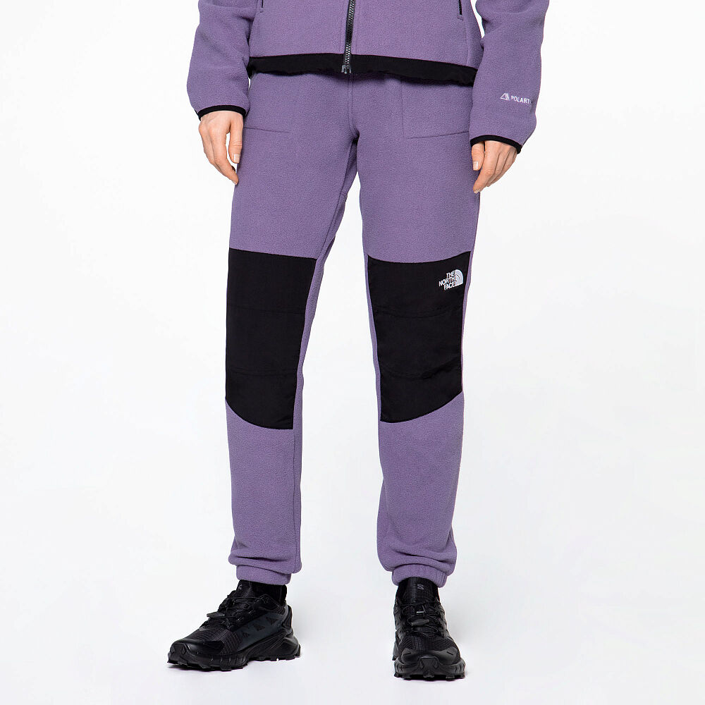 Женские брюки The North Face Denali Pant NF0A7WXXN141-L фото 1