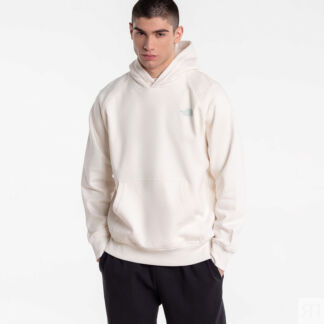 Мужская худи The North Face Raglan Box Hoodie
