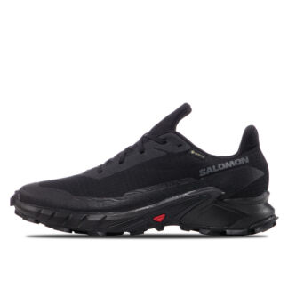 Мужские кроссовки Salomon Alphacross 5