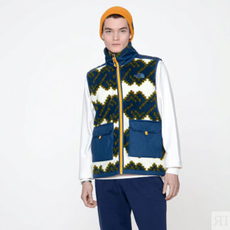 Мужской жилет The North Face Royal Arch Vest