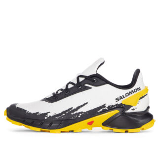Мужские кроссовки Salomon Alphacross 4