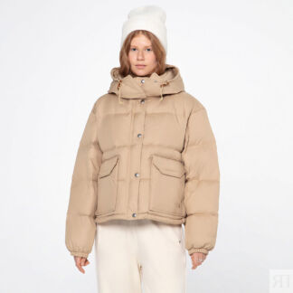 Женский пуховик The North Face Sierra Down Short Jacket