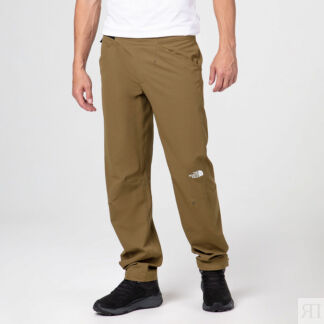 Мужские брюки The North Face Winter Pant