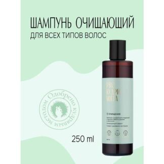 Pro Кудри Шампунь очищающий мята, для всех типов волос, с маслом чайного де
