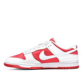 Мужские кроссовки Nike Dunk Low Retro