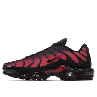 Мужские кроссовки Nike Air Max Plus TN