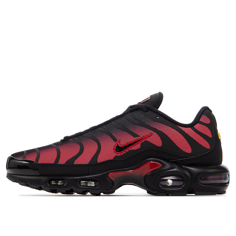 Мужские кроссовки Nike Air Max Plus TN DZ4507-600-9 фото 1
