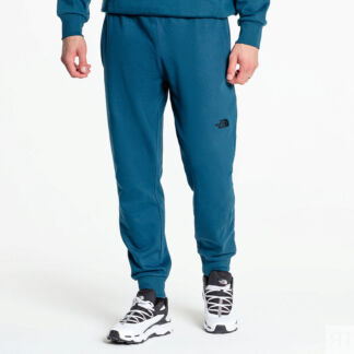 Мужские брюки The North Face Never Stop Exploring Pant