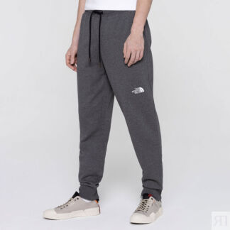 Мужские брюки The North Face NSE Light Pant