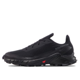 Мужские кроссовки Salomon Alphacross 5
