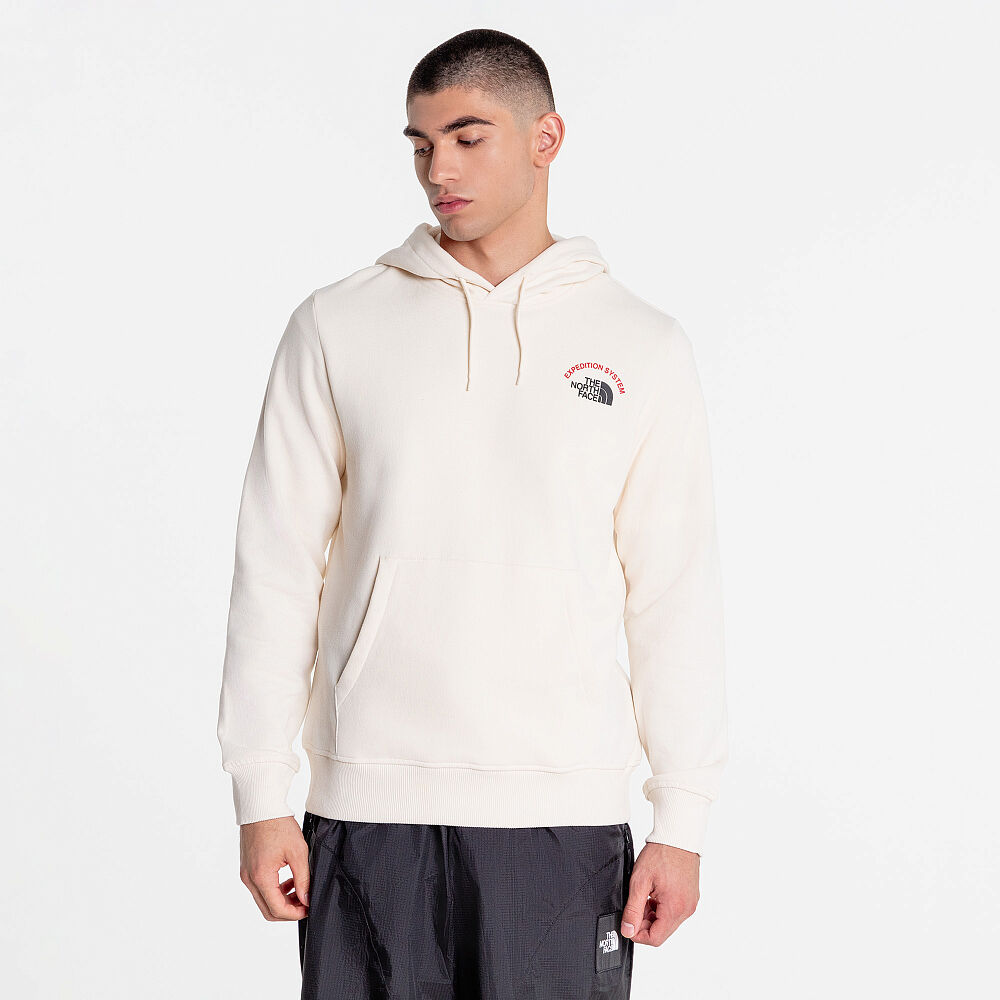 Мужская худи The North Face Expedition System NF0A89DEQLI1-S фото 1