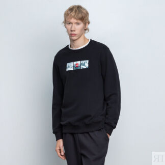 Мужской свитшот The North Face Expedition Syste Crew