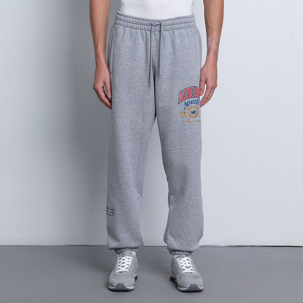 Мужские брюки adidas VRCT Pant IX6774-XL фото 1