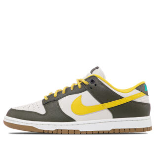 Мужские кроссовки Nike Dunk Low Retro