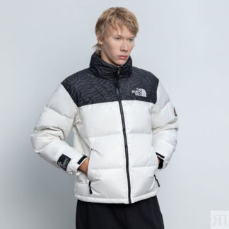 Мужской пуховик The North Face 96 Retro Nuptse