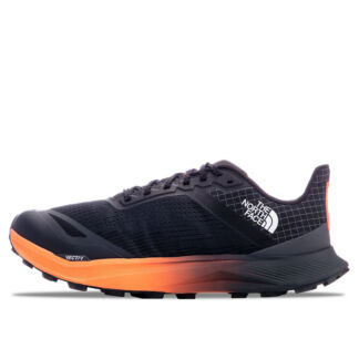 Мужские кроссовки The North Face Vectiv Infinite 2