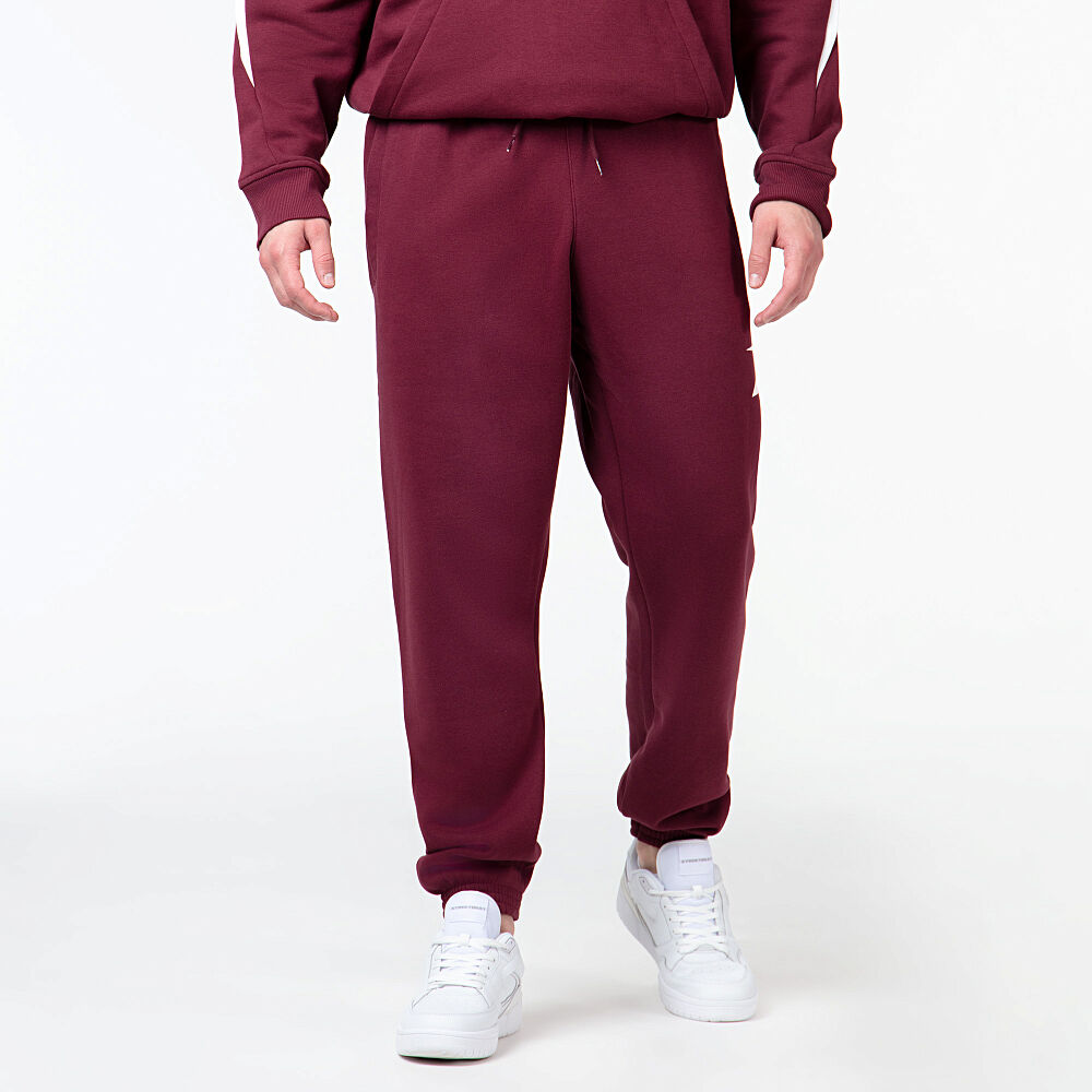 Мужские брюки Reebok Brand Proud Pant 100070861-XL фото 1