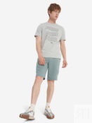 Футболка мужская PUMA, Серый 684664P0P-04 фото 4