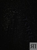Брюки женские Toread, Черный TAMMFL92356T3J-G01X фото 5