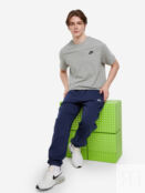 Футболка мужская Nike Club, Серый AR4997N06-064 фото 3