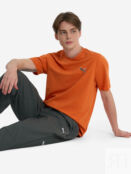 Футболка мужская PUMA, Оранжевый 675977P0P-20 фото 3