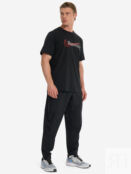Футболка мужская Nike, Черный FJ2362N06-010 фото 4