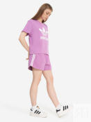 Шорты женские adidas, Фиолетовый IY2155A01-. фото 3
