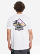 Футболка мужская Quiksilver Palm Square, Белый EQYZT08095Q02-WBB0 фото 3
