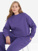 Свитшот женский Demix, Plus Size, Фиолетовый 129619DMX-P4 фото 1