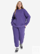Свитшот женский Demix, Plus Size, Фиолетовый 129619DMX-P4 фото 5