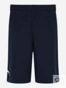 Мужские шорты PUMA Russian Practice Short 60563501 фото 1