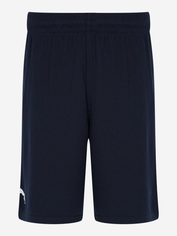 Мужские шорты PUMA Russian Practice Short 60563501 фото 1