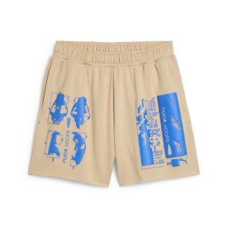 Мужские шорты PUMA Ancient Roars Terry Short
