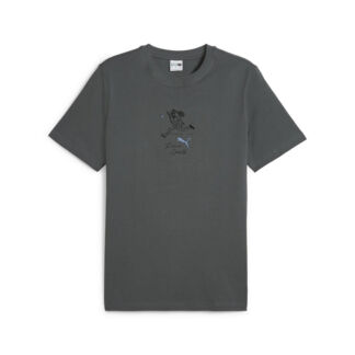 Мужская футболка PUMA PUMA TEAM Graphic Tee